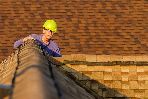 Best Roof Gutter Cleaning  in Chattanoo Valley, GA